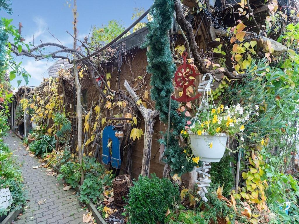 Holiday Flat With Garden In Wißmar Esterno foto
